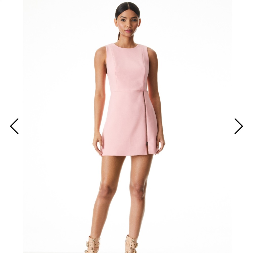 NWT Alice + Olivia Julie Side-Zip Dress